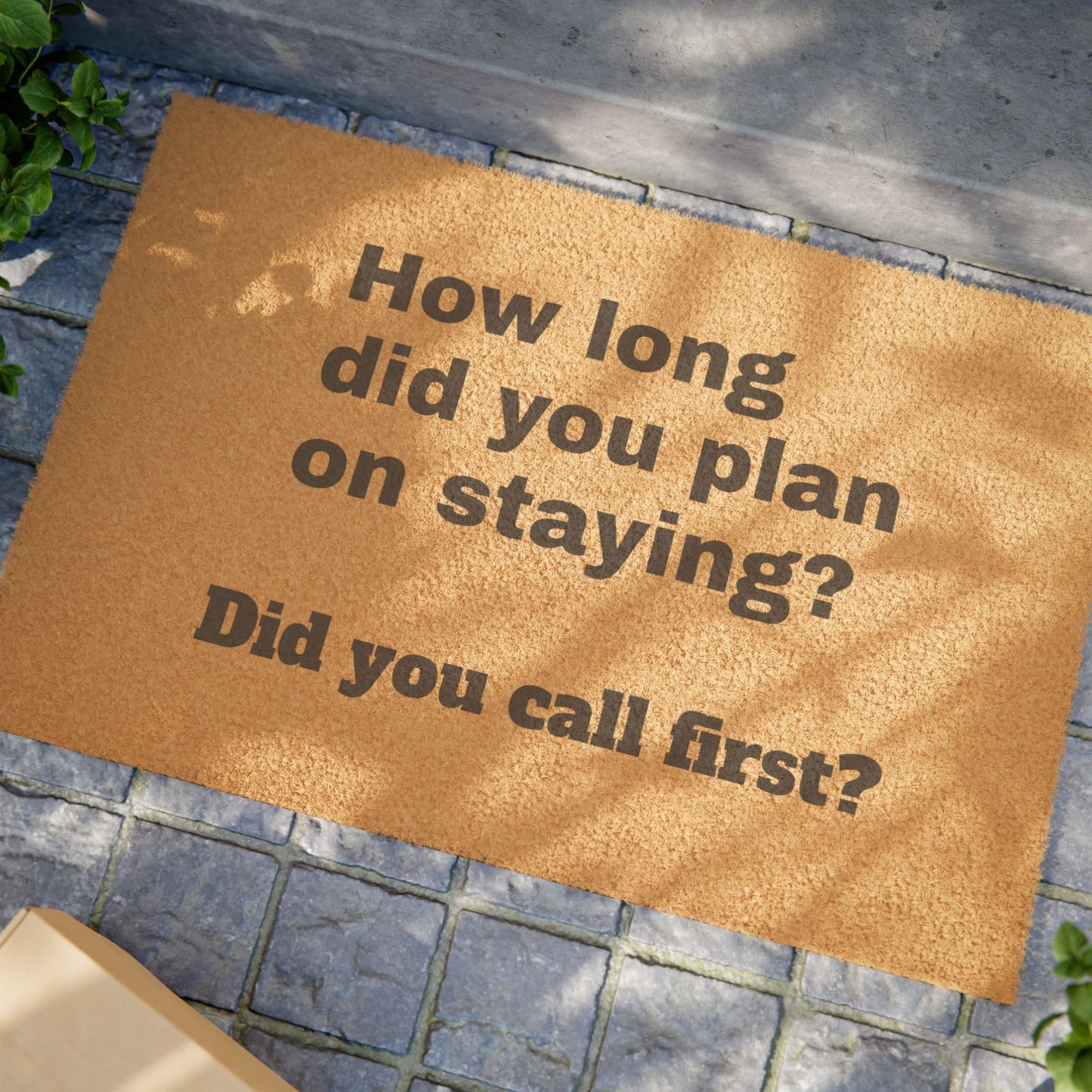 Sarcasm Doormat